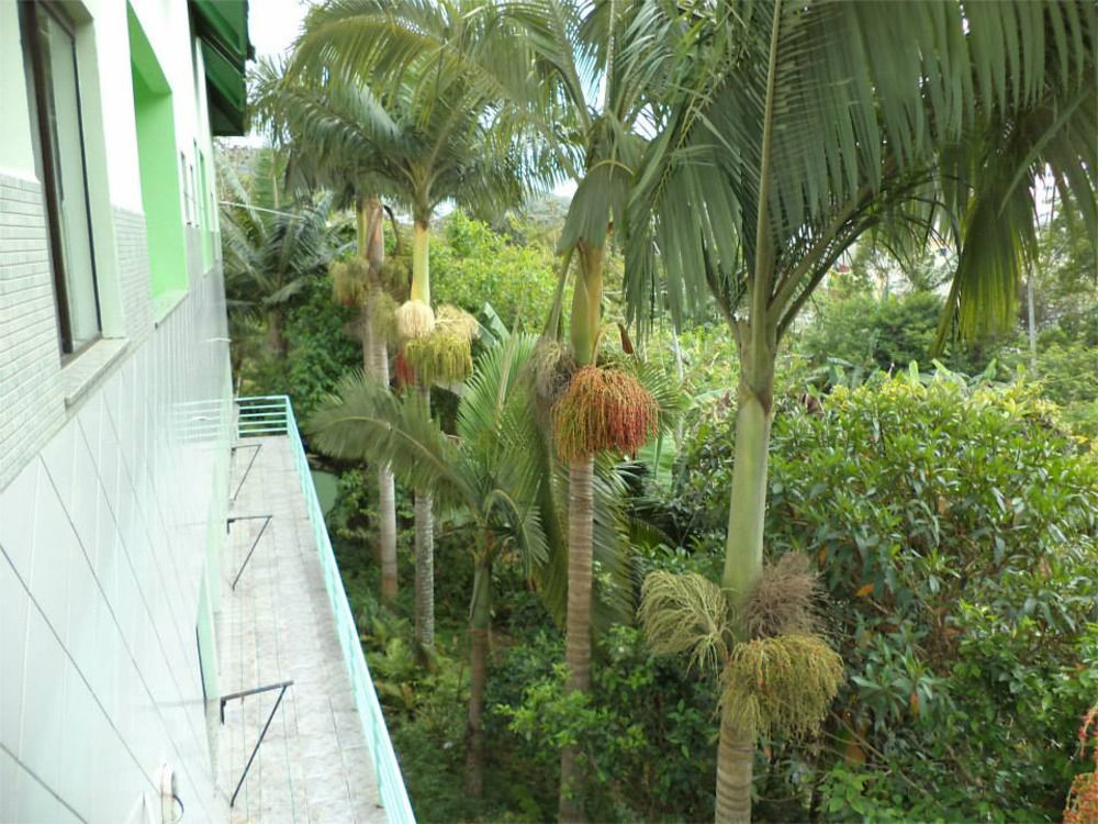 Hotel Pousada Reimar Balneário Camboriú Eksteriør billede